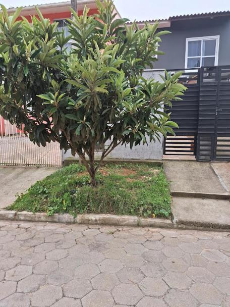 Сasa de vacaciones Recanto Gerberas Florianópolis